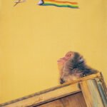 DER CHRISTOPHER STREET DAY