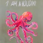 I AM A HOUDINI